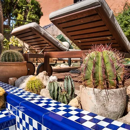 Bed & Breakfast Casa Con Destino (adults Only) *